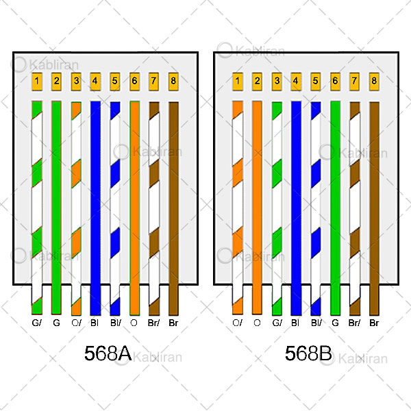 ترتیب-رنگ-رشته های-داخلی-کابل شبکه-جهت-اتصال-به-سوکت-شبکه